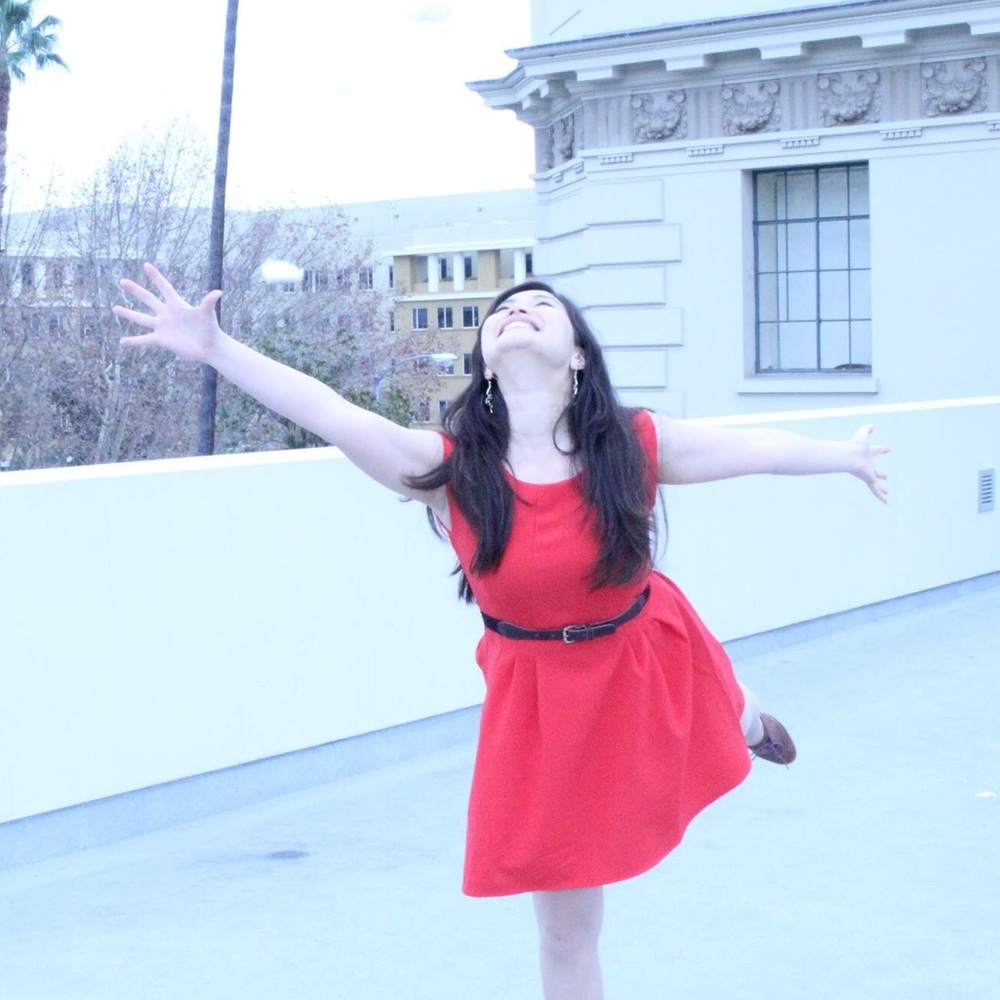 Red skater dress